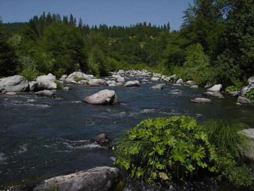 one mile of pit river frontage along the northern boundary of the property. world class trout fishin california
