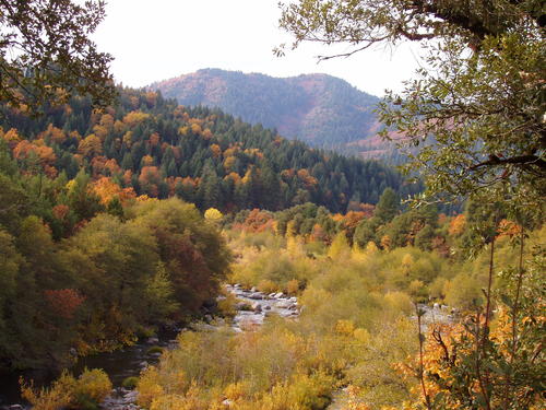 view from a distance looking west.  property is the wooded hillside in the imediate background. california