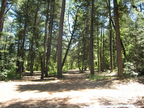 one of the campgrounds.  this one has approximately 6 camping sites california