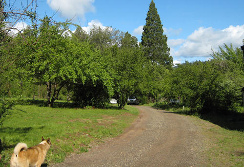one of two entrance roads into the property. california