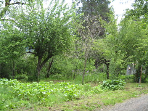 garden and orchard area california
