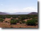 Arizona Farm Land 30 Acres Well/Pwr/Road Front - Financing Available