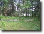 Beautiful 1.4 Acres on Dyer Lake