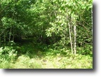 47 Acres of mixed forest in N>W>Wisconsin