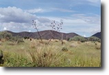 Spectacular 37 acre home site