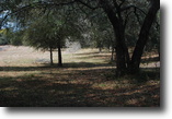 Florida Farm Land 5 Acres Beautiful Lakefront Estate Property