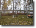 Wisconsin Farm Land 127 Acres Big Lakeshore & Tall Timber.