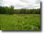 Wooded acres in N. W. Wisconsin