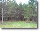 Wisconsin Hunting Land 2 Acres Homesite in the pines. Wisconsin