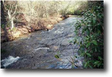60 Acres on Lookout Mountain