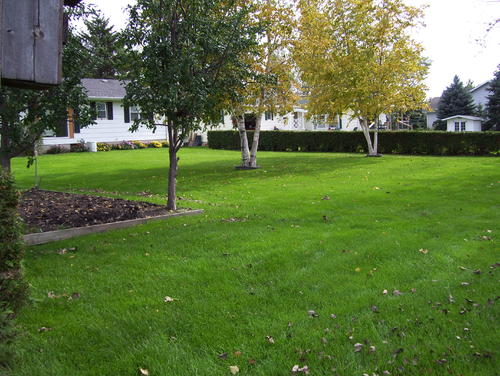 beautiful backyard with storage shed.  lot is 90x 140 wisconsin