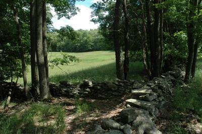 highlands at bethel new york property