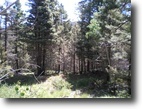 New Mexico Land 1 Acres Chalets 2 C Amended Lot 331L