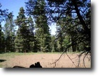 New Mexico Land 1 Acres Chalet 2 Lot 1440