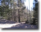 New Mexico Land 1 Acres Country Club unit 1 Lot 271