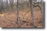Indiana Land 7 Acres St. Leon Franklin County, IN