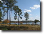 1,816 +/- ac Plantation w/ 100 acre Lake!
