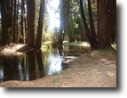 California Farm Land 61 Acres Battle Creek Ranch (SOLD)