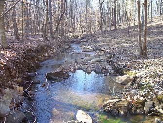 one of many creeks north carolina