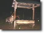 North Carolina Hunting Land 136 Acres Just Right Farms