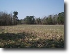 North Carolina Hunting Land 41 Acres McDougald Tract