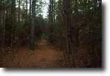 North Carolina Hunting Land 33 Acres Duncan-Surles Tract