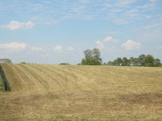 5.36 acres of beautiful land kentucky