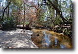 Florida Hunting Land 776 Acres Rocky Comfort
