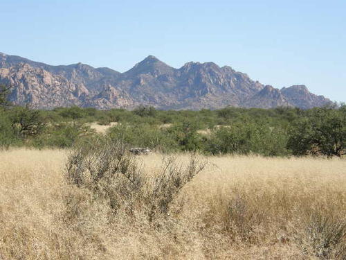 looking to the southeast at the dragoon mountains. arizona