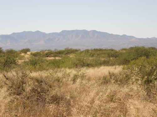 looking to the west at the whetstone mountains across the san pedro river valley. arizona