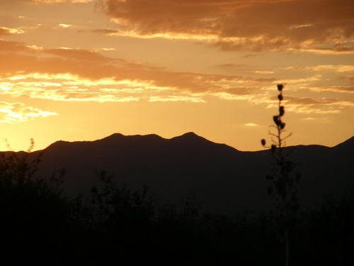 one of the spectacular arizona sunsets. arizona