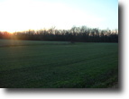 Arkansas Farm Land 91 Acres Deer Hunting with INCOME!