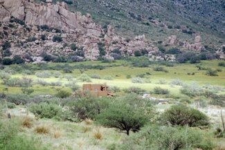 Looking at a property to the south of lot 188 during the summer.
