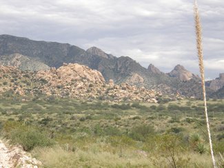 Looking east at the Dragoon Mountains.