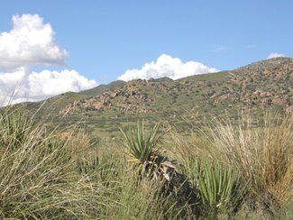 A view to the north.