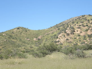 Looking east at the Dragoon Mountains in the Coronado National Forest.