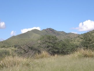 Looking north.
