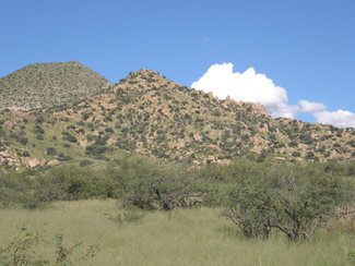 Looking east, the hills are in the National Forest.