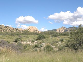 Looking east in the direction or Cochise Stronghold in the National Forest.