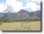 36+ Acres -  Gated Community