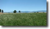 Prime California ag acreage w/ water