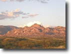 36 + Acres - Financing with $19,220 down