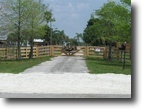 Florida Farm Land 13 Acres Best Little Horse House in Okeechobee,FL