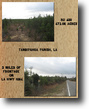 RU 455   472 Acres  Tangipahoa Parish, LA