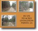 RU 251  515 Acres Livingston Parish, LA