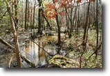Georgia Farm Land 30 Acres Fletcher Slough