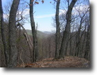 Virginia Hunting Land 20 Acres On Top of the World!