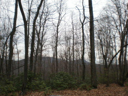 mountain views virginia