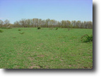 290 Acres m/l woods & pasture, creek