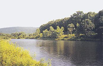 must see upper delaware riverfront estate property hancock new york